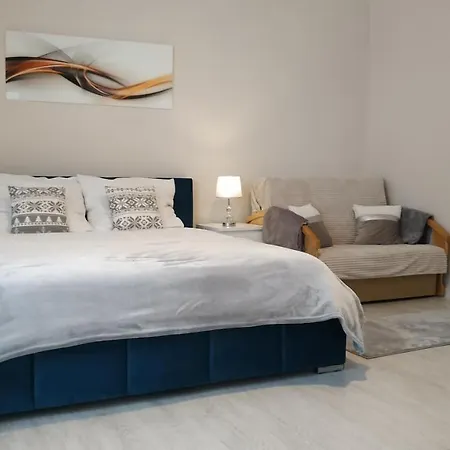 Goscinne Na Szlaku דירה *