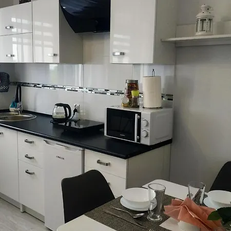 Goscinne Na Szlaku アパート Złoty Stok